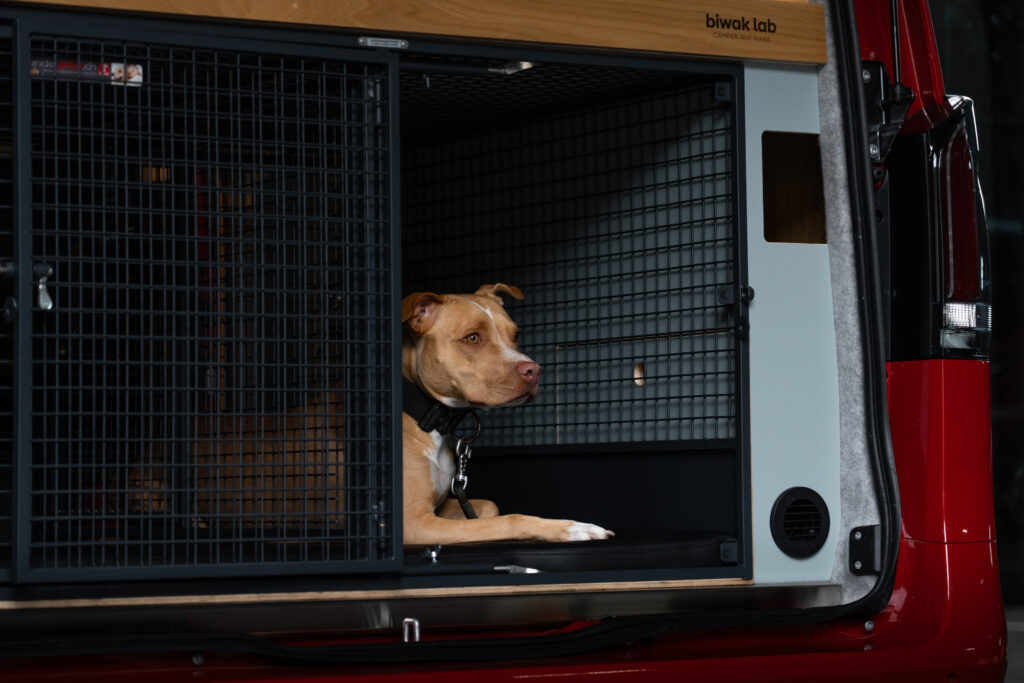 Ein Hund springt fröhlich durch die Seitentür in einen ausgebauten Mercedes Vito Camper.
